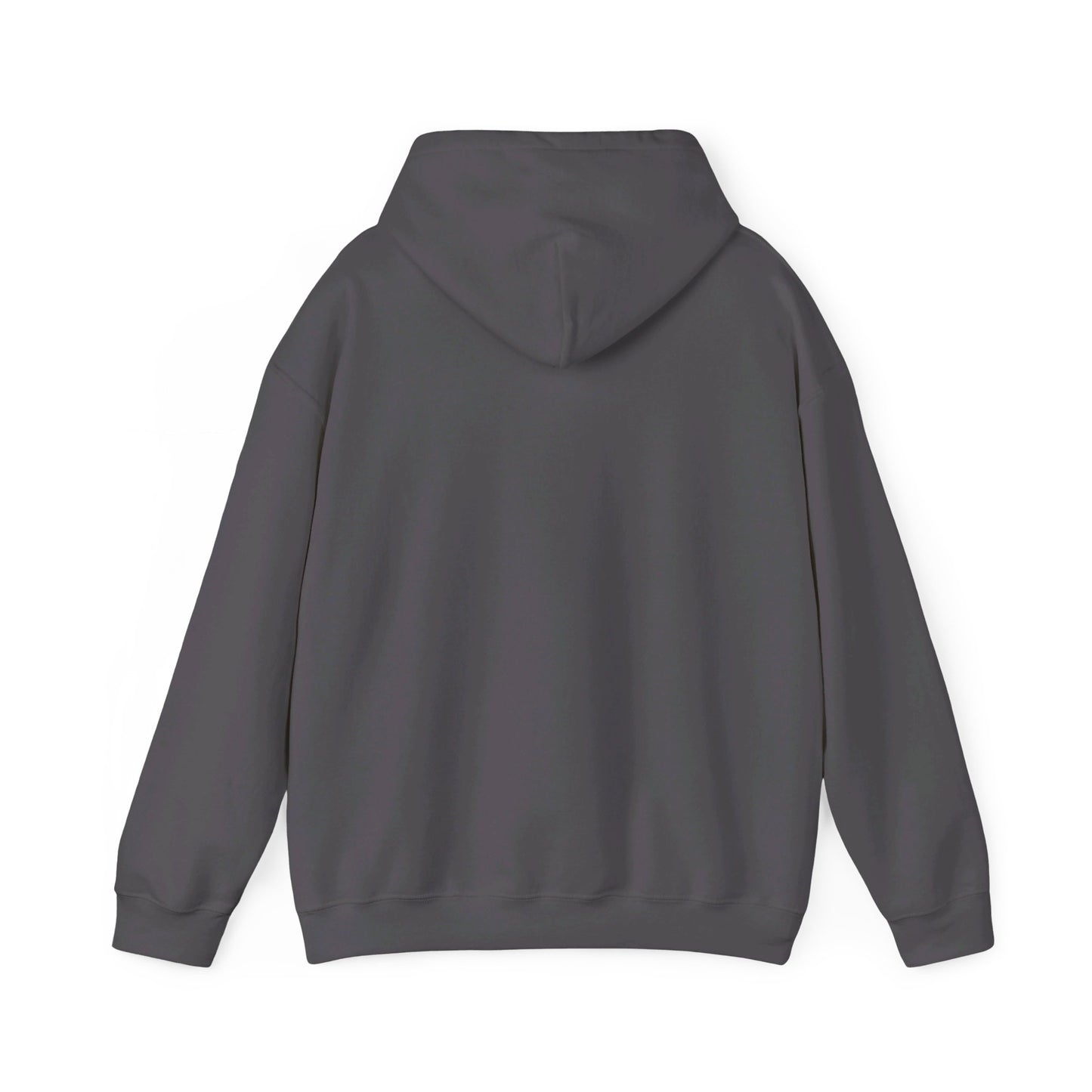 III Hooded Sweatshirt