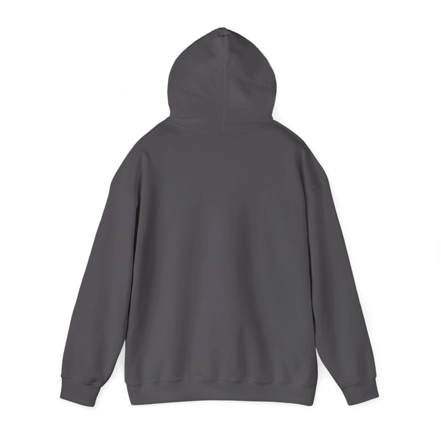 III Hooded Sweatshirt